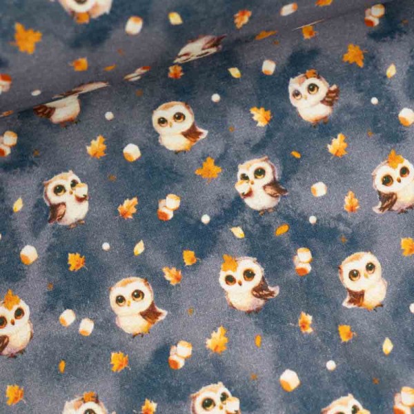 Alpensweat kleine Eule jeansblau