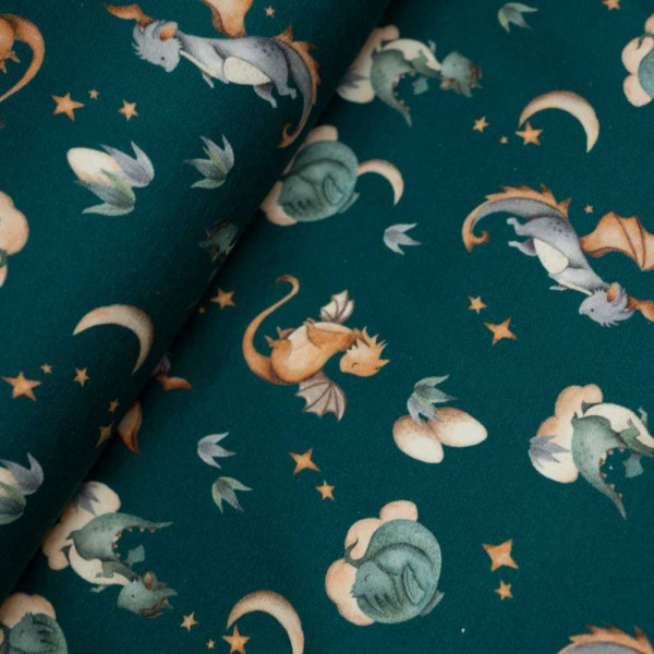 French Terry Sweat Drache petrol