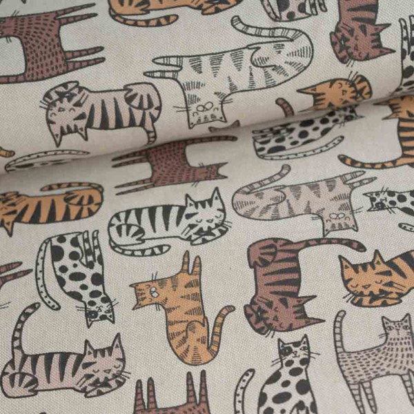Canvas Katzen natur