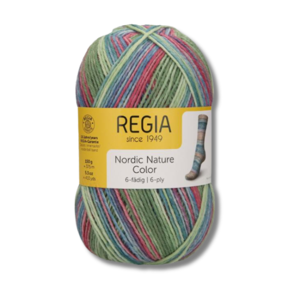 Regia 150gr Sockenwolle 6-fädig Nordic Nature Color 6101