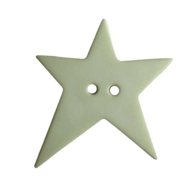 Stern-Knopf asymmetrisch 15mm pastellgrün