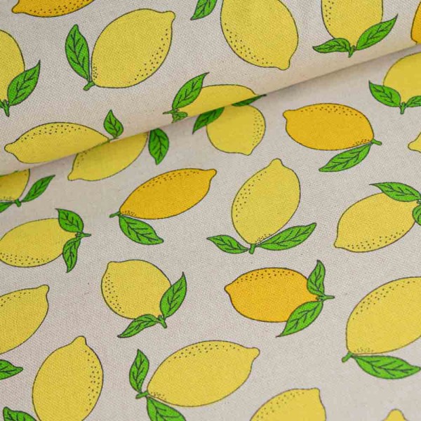 Canvas Zironen natur