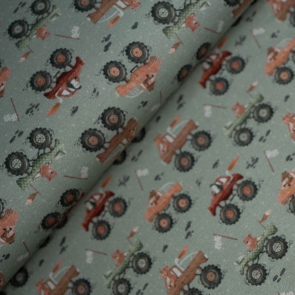 Baumwolljersey kleine Monstertrucks dusty mint