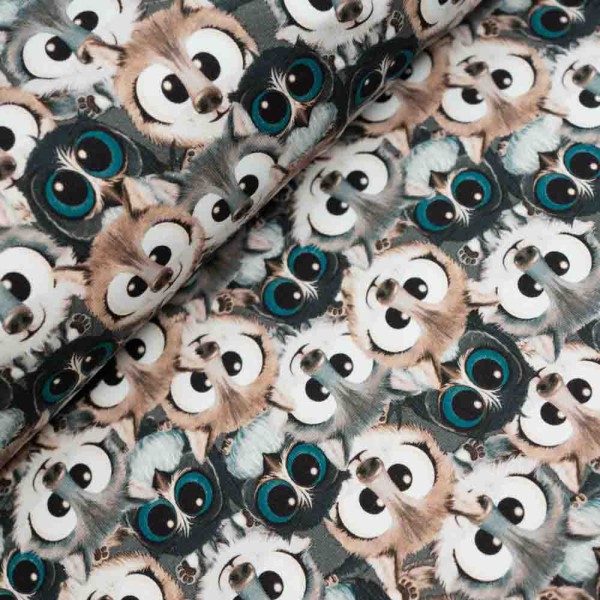 French Terry Sweat kleiner Wolf anthra