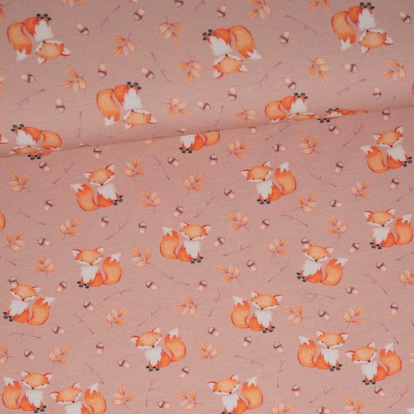 Baumwolljersey Digital Fuchs apricot