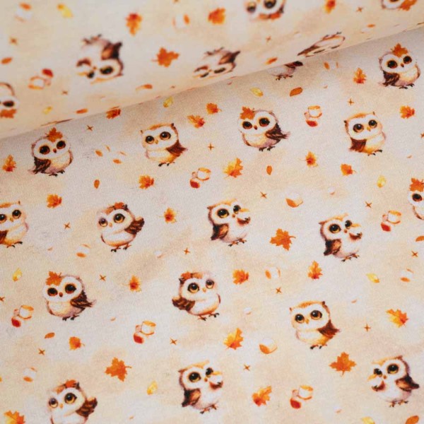 Alpensweat kleine Eule hellbeige