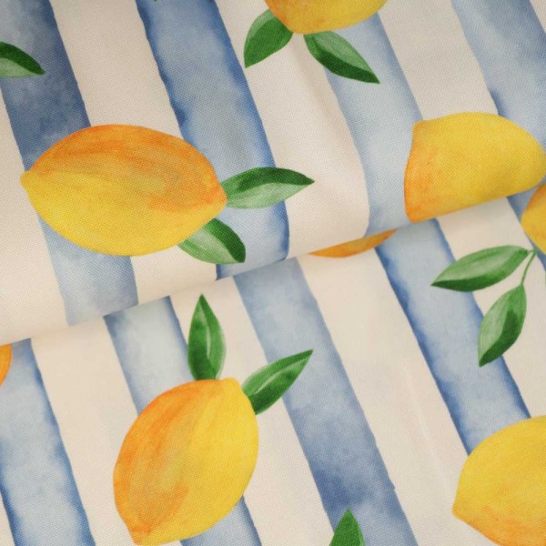 Canvas Zitronen & Streifen blau