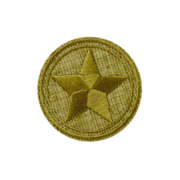 Applikation Stern im Kreis grün