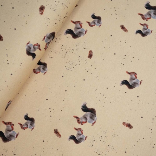 Baumwolljersey Eichhörnchen hellbeige