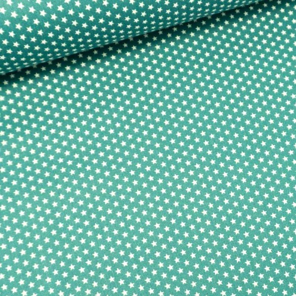 Edle Baumwollwebware Popeline Mini Sterne dusty mint