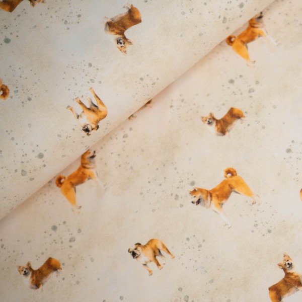 Baumwolljersey Hunde hellbeige