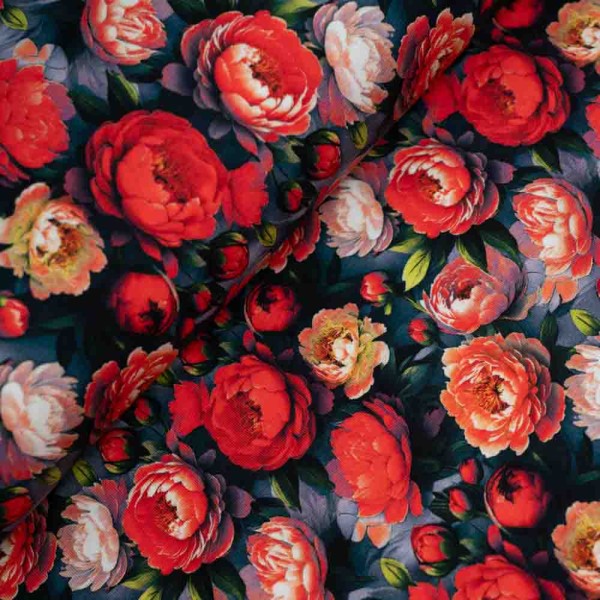 Baumwolljersey Pfingstrosen rot